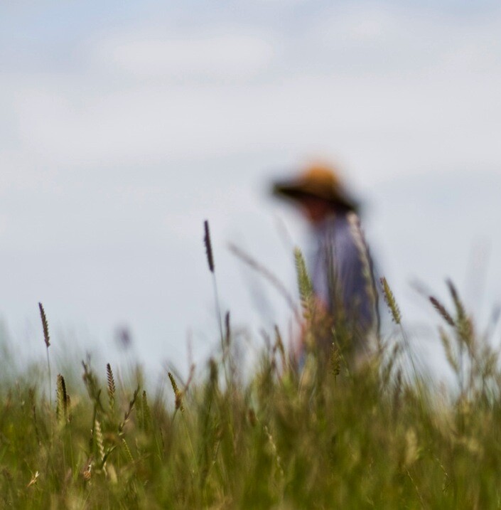 3-Defocus Lonly by Eva Polak.jpg Impressionist photography