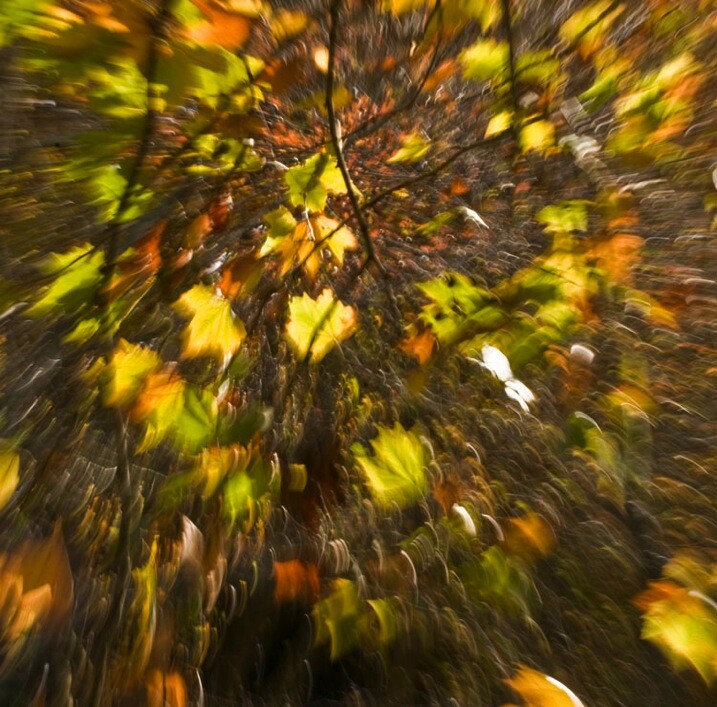 5-Zoom Autumn Leaves by Eva Polak.jpg Impressionist photography