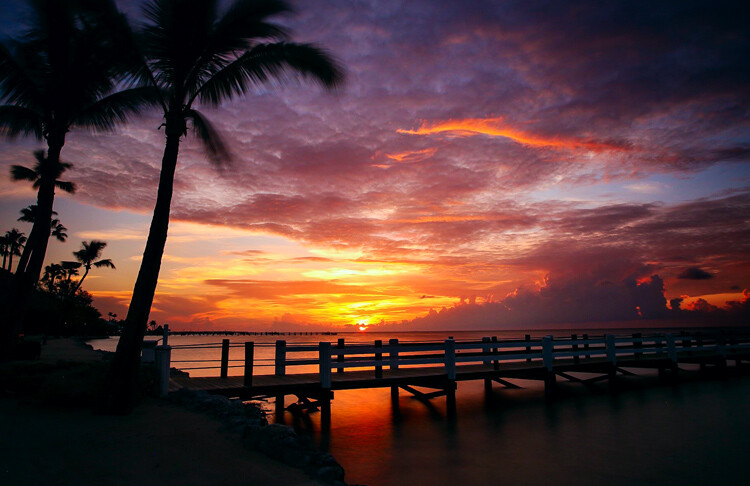 bright sunrise with dock and palm trees