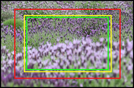 Crop-Factor