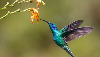 How to Fill the Frame for Stunning Photos (A Quick Guide)
