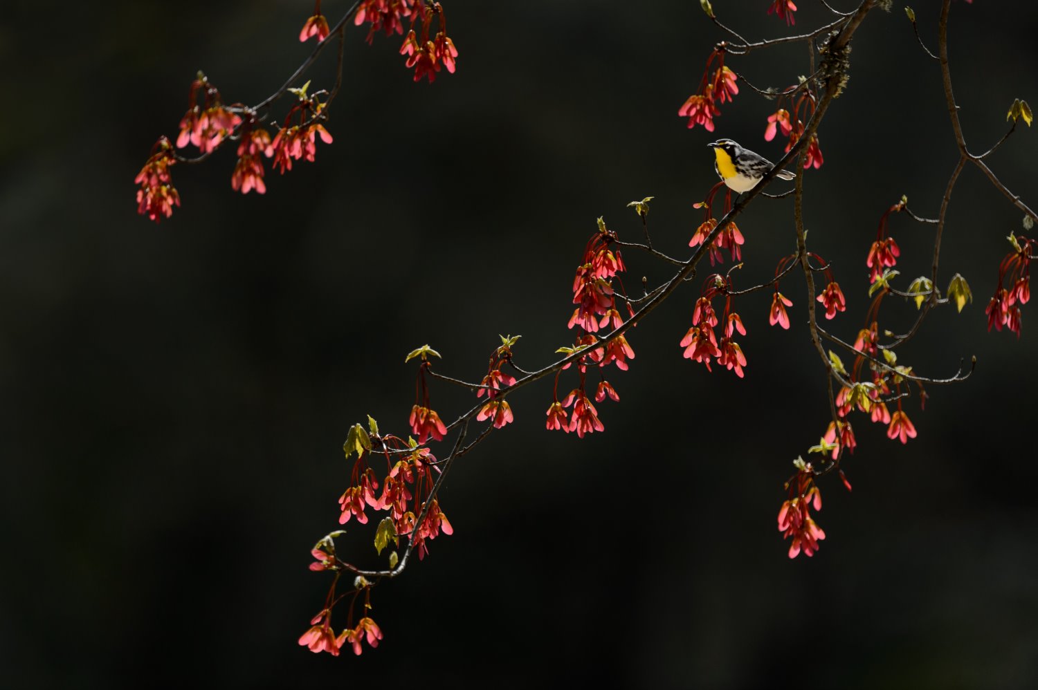 Ways to find photography inspiration