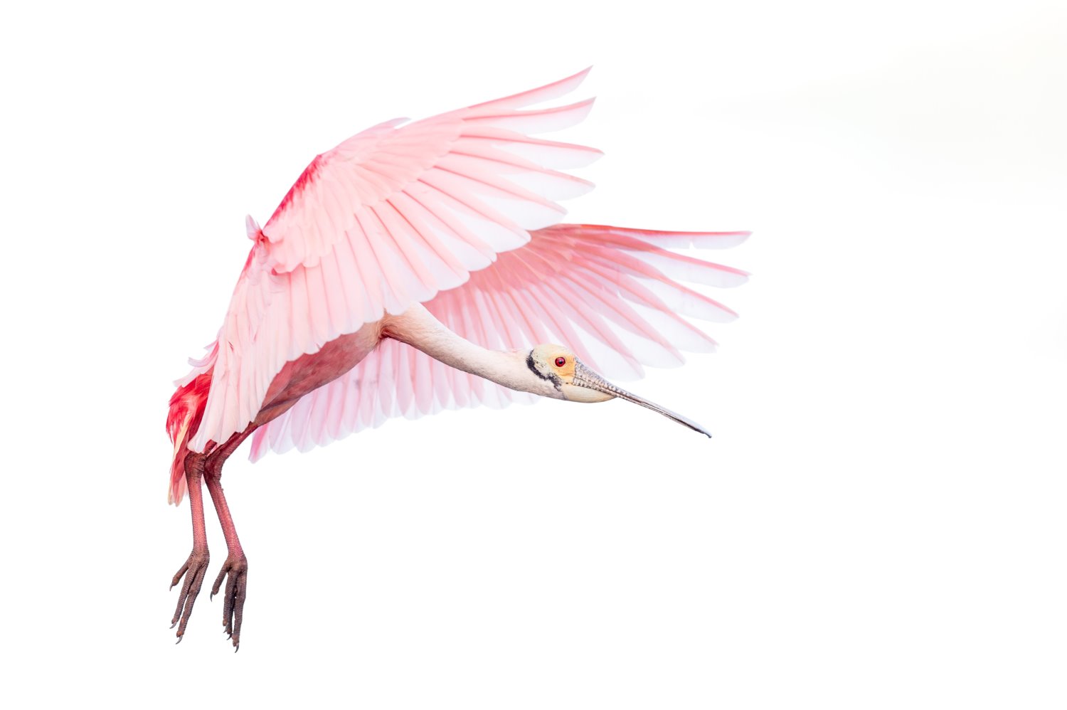 Ways to find photography inspiration
