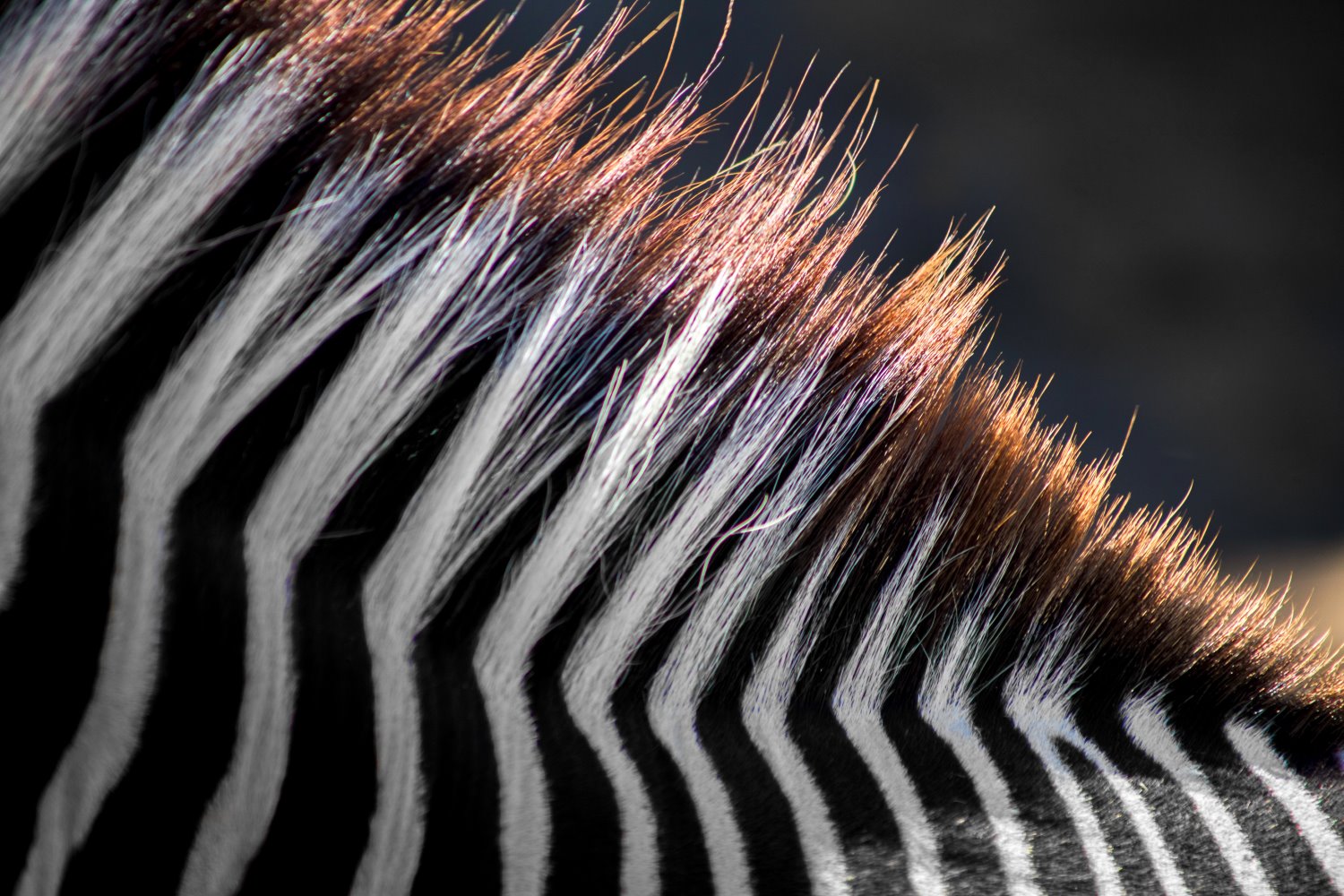 Ways to find photography inspiration