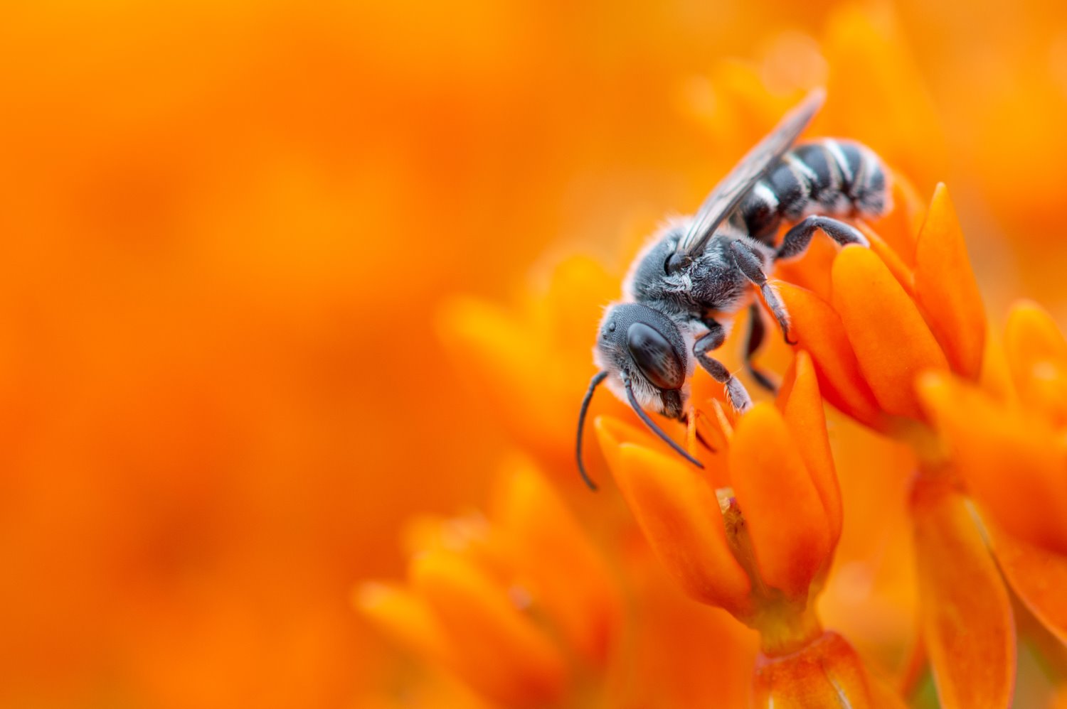 Ways to find photography inspiration