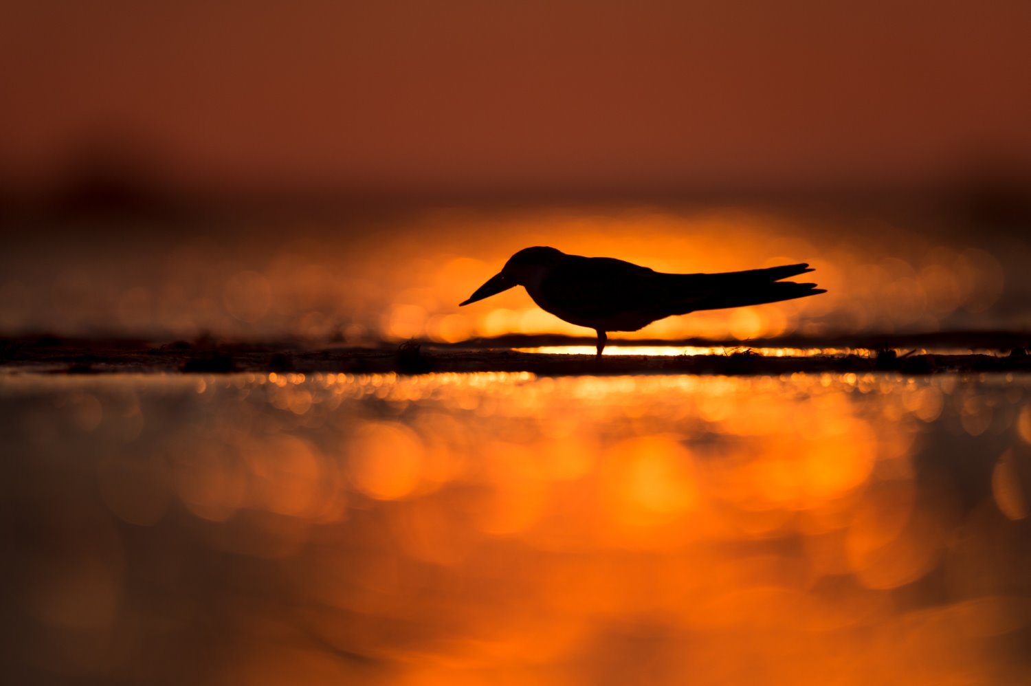 Ways to find photography inspiration
