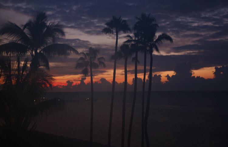 foggy Florida sunrise