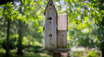 How to Create Swirly Bokeh (With the Helios 44-2 Lens)