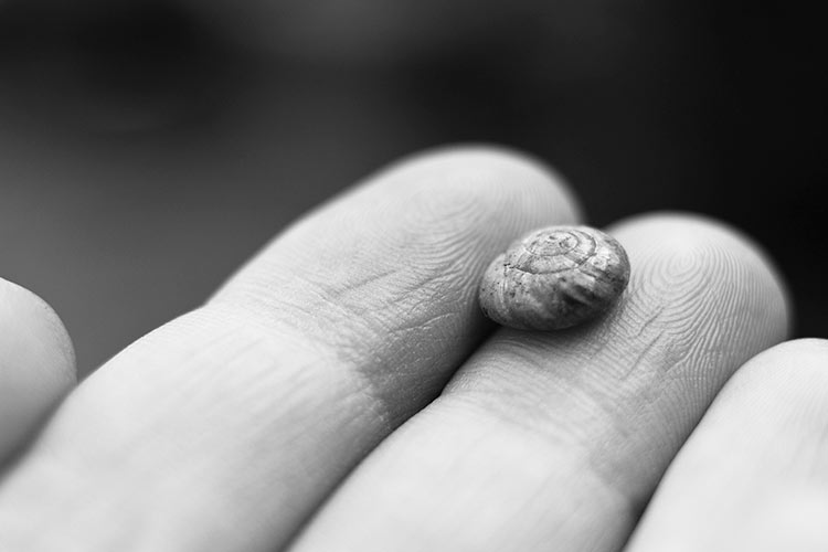 Gear Acquisition Syndrome