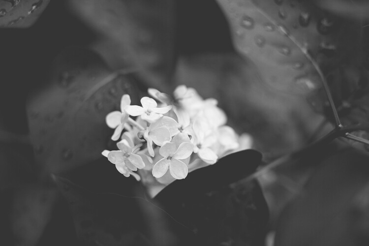 Find photography inspiration