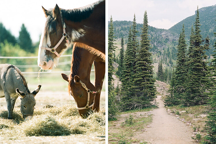 Find photography inspiration
