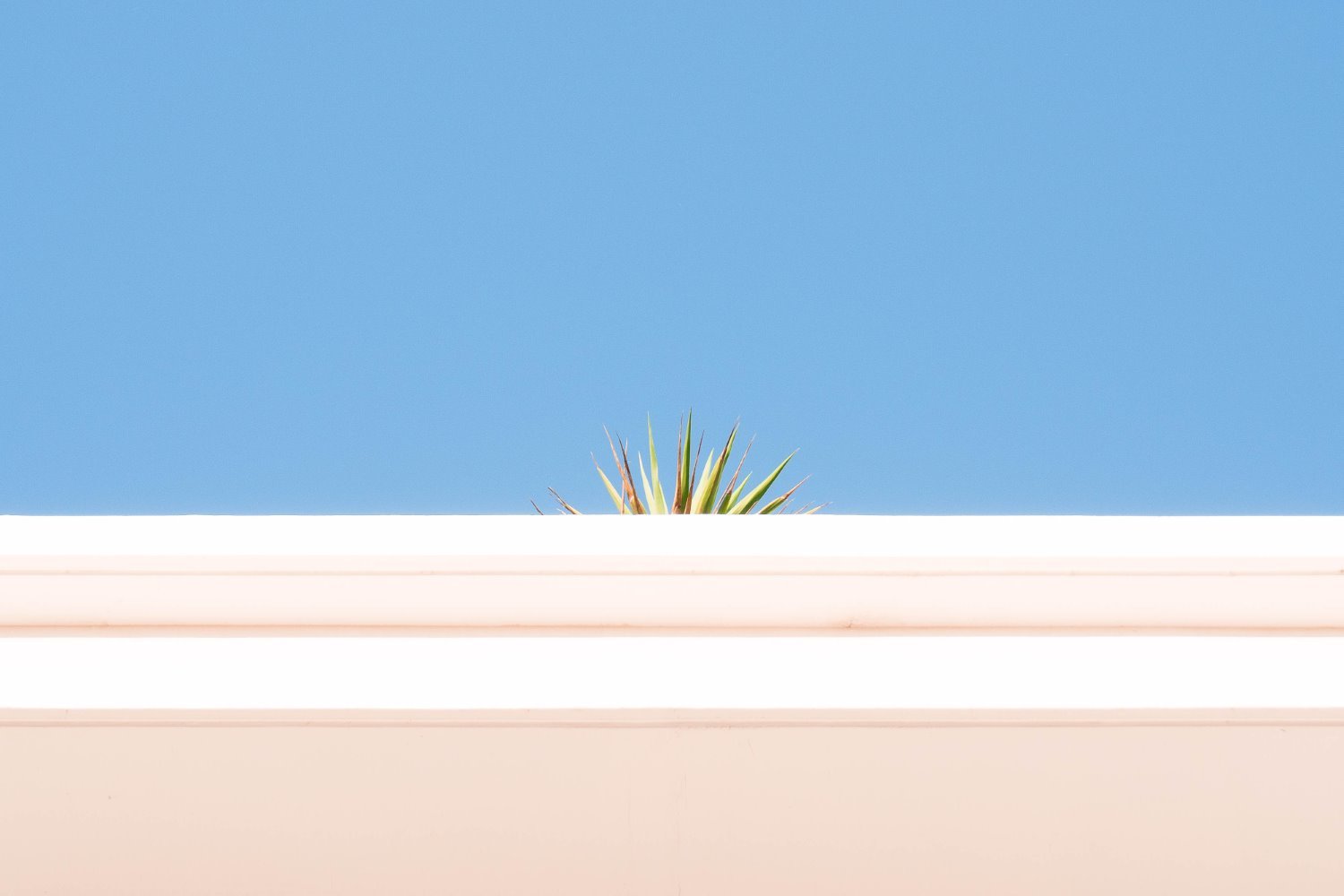 Negative space photography