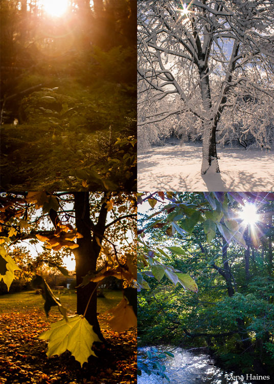 images shot at different times of day