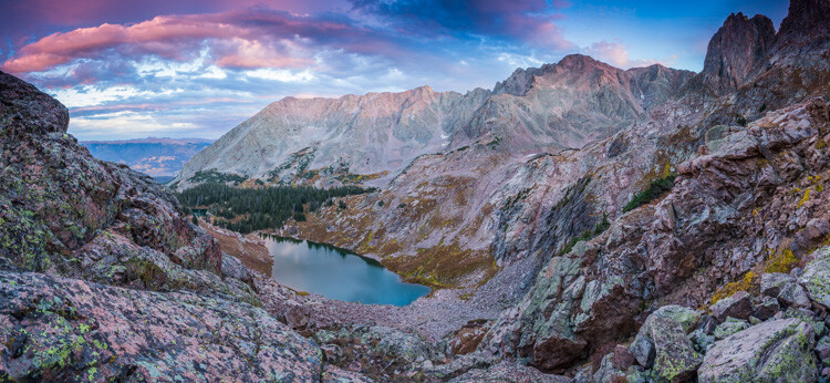 WILLCK_10_WILLOW_wide.jpg Wide-angle vs telephoto lenses