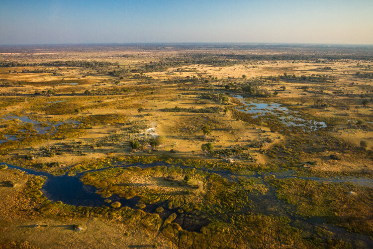 WILLCK_3_OKAVANGO_wide.jpg Wide-angle vs telephoto lenses