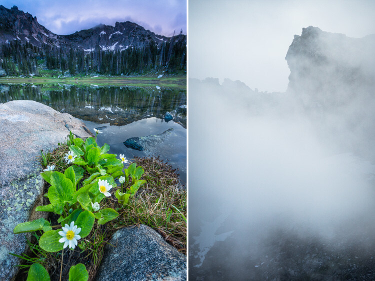 WILLCK_7_MICA.jpg Wide-angle vs telephoto lenses