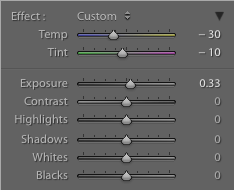 Settings on the graduated filter of a hockey image